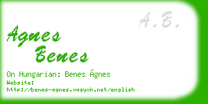agnes benes business card
